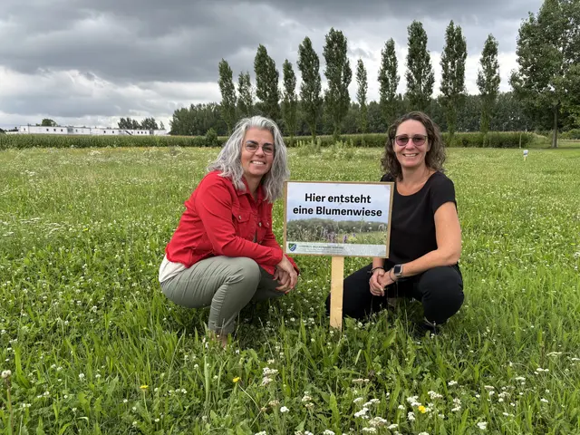 Vizebürgermeisterin Christa Geiger und die geschäftsführende Gemeinderätin Iris Höller-Laber vor der entstehenden Blumenwiese. | Foto: Victoria Edlinger
