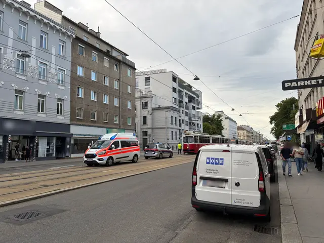 Auf der Brünner Straße kam es zu einem Verkehrsunfall zwischen einem Pkw und einer Straßenbahn. | Foto: Luise Schmid/MeinBezirk