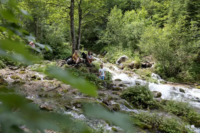 Foto: Pyhrn-Priel Tourismus GmbH/Florian Lierzer