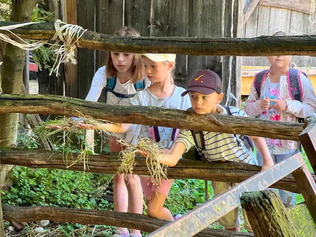 In Marchtrenk kamen die Kinder den Tieren richtig nah und konnten sie sogar füttern. | Foto: Stadtgemeinde Marchtrenk