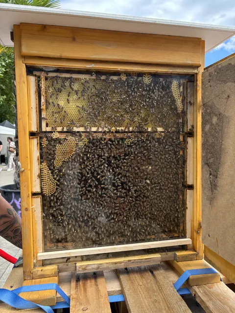 Foto: Nathanael Peterlini/MeinBezirk