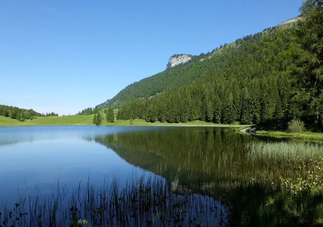 Eines der bekanntesten Ausflugsziele in St. Koloman ist der Seewaldsee.  | Foto: Marianne Robl