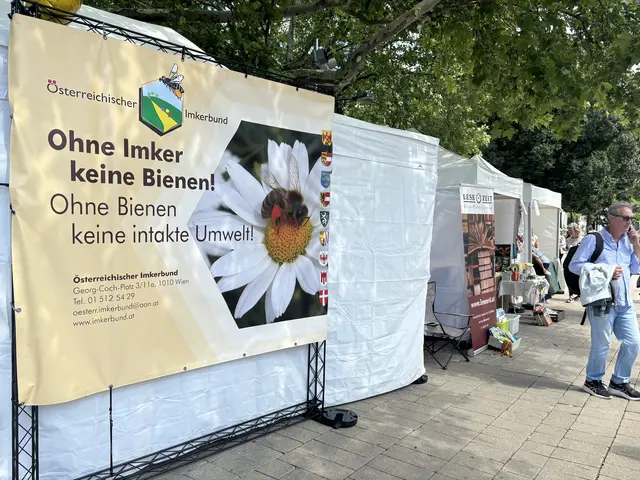 Foto: Nathanael Peterlini/MeinBezirk