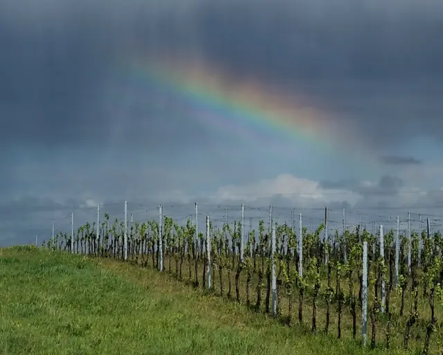 Wo Schauer und Gewitter, da auch Regenbögen. Am Wochenende im Burgenland wird es von allem was geben. | Foto: Helmut Gring