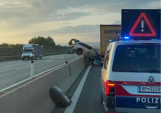 Die Bergung erforderte Geschick und Geduld. | Foto: DOKU-NÖ