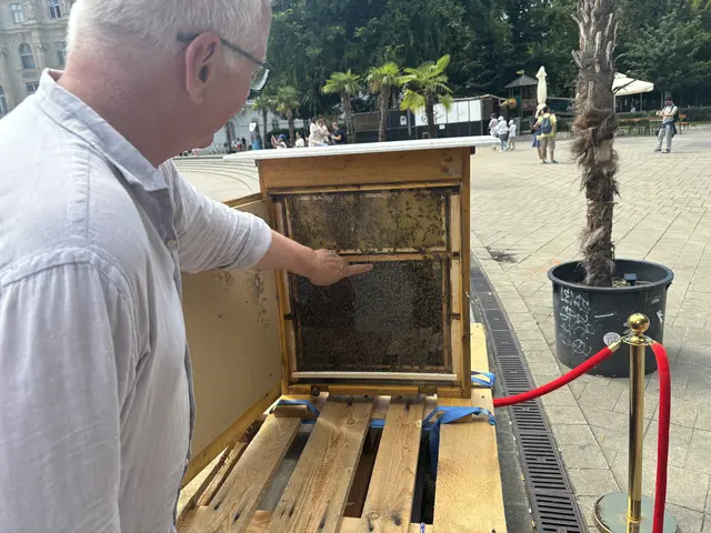 Foto: Nathanael Peterlini/MeinBezirk