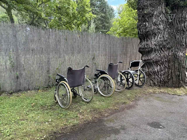 Im Gänsehäufel stehen eigene Rollstühle für die Fahrt ins Wasser zur Verfügung. Die Tageskarte mit Ermäßigung kostet hier 5,70 Euro. | Foto: Sarah Marie Piskur / MeinBezirk