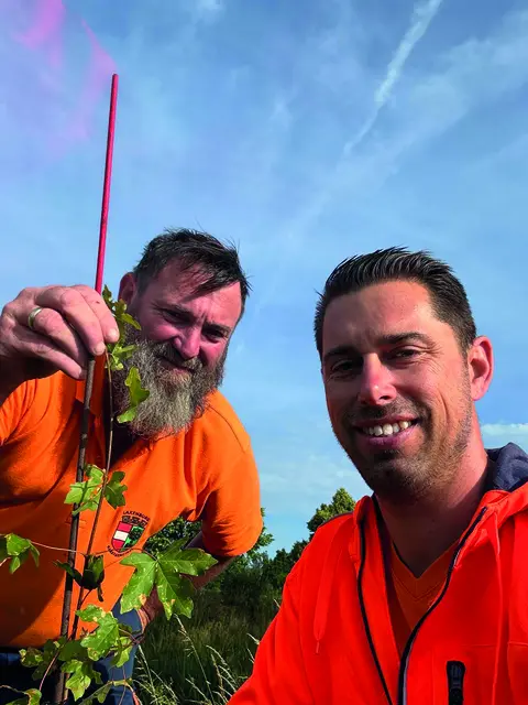 Das Gärtnerteam des Laxenburger Wirtschaftshof pflanzte wild gewachsene Jungbäume um. | Foto: Marktgemeinde Laxenburg
