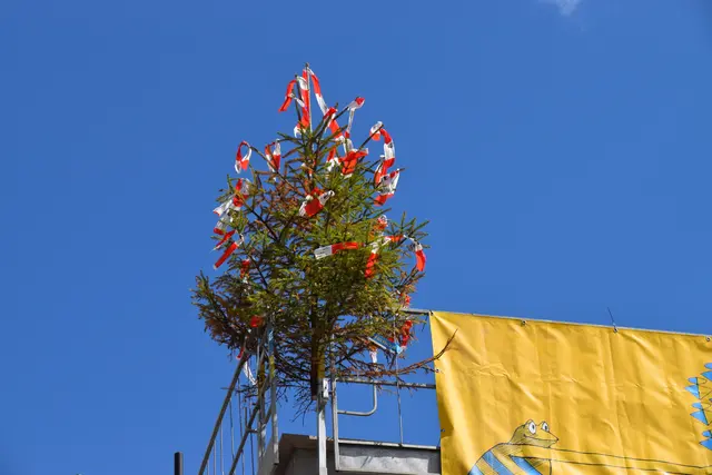 Diese Woche wurde beim vierten Baufeld in der Meraner Straße die Firstfeier begangen. | Foto: Barbara Fluckinger
