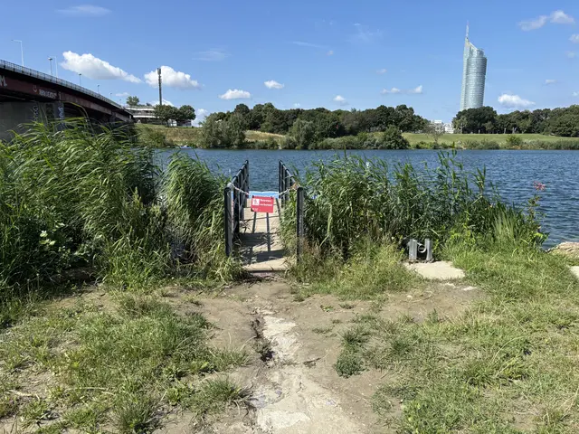 Die Schwimmpontons der Neuen Donau haben nun Geländer, sind vielerorts aber nicht barrierefrei zugänglich.  | Foto: Sarah Marie Piskur / MeinBezirk