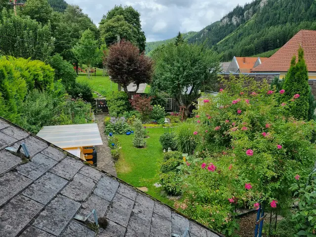 Ein Blick in den "Traumgarten" vom Wohnungsfenster aus.  | Foto: Astrid Höbenreich-Mitteregger