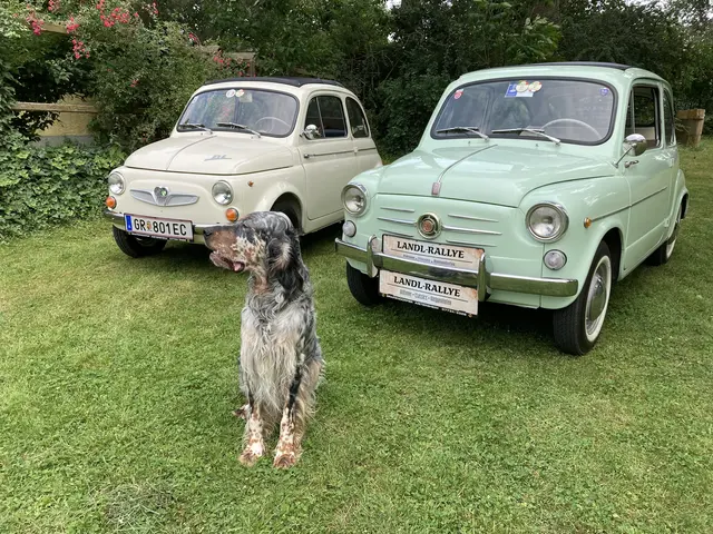 Der Reinerlös geht an ein Mitglied der Pfarre, der jahrelang bei der Organisation half. | Foto: Christian Skopec
