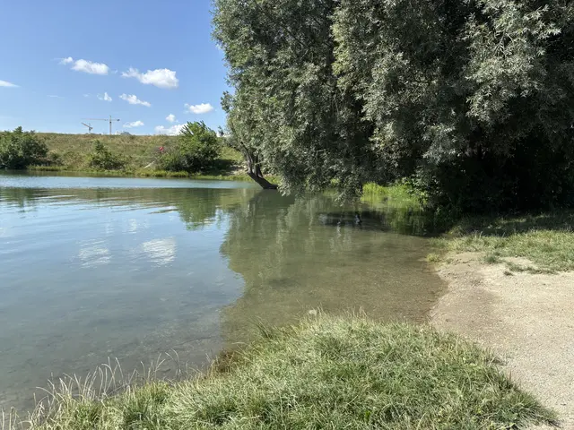 Die Brigittenauer Bucht bietet flache Wasserzugänge, diese sind aber teilweise nicht befestigt oder sehr abschüssig, das Areal ist öffentlich schwer erreichbar. Im Wasser findet sich viel Müll wie Zigarettenstummel, Plastikbecher oder Getränkedosen wieder. | Foto: Sarah Marie Piskur / MeinBezirk