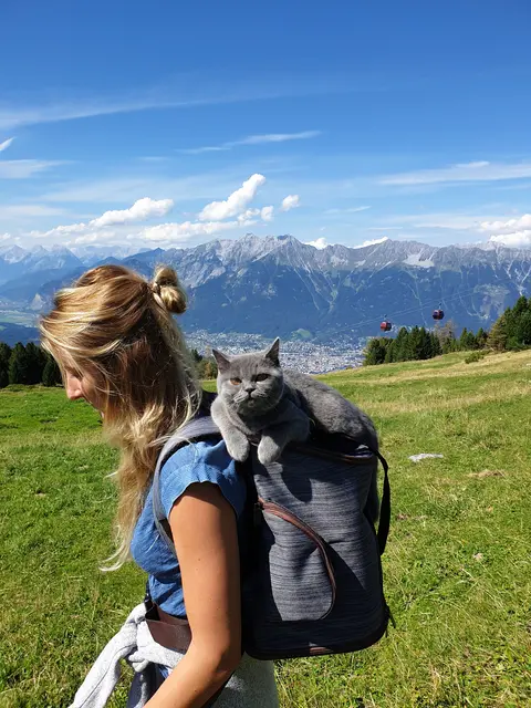Theresa beim wandern mit Suki am Patscherkofel. Die britisch Kurzhaarkatze wird immer mehr zur waschechten Tiroler Alpinkatze. | Foto: MIAU