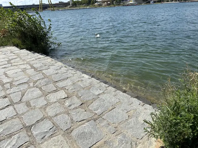 Foto: Sarah Marie Piskur / MeinBezirk