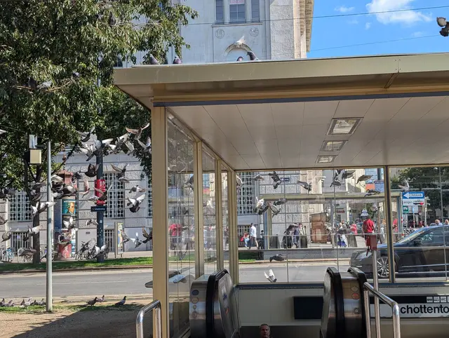 Immer wieder machen sich Tauben auf den Weg in U-Bahnen. | Foto: Fabian Franz/MeinBezirk