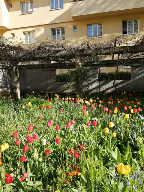 So sah das Blumenbeet vor der Rodung aus. | Foto: zVg