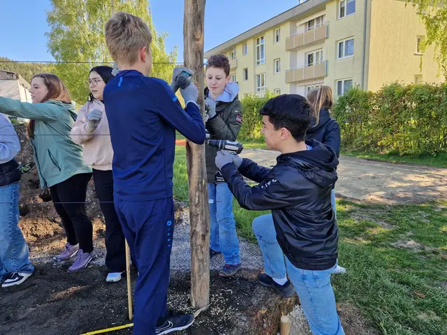 Schüler aus Friedburg setzen sich für Umwelt- und Artenschutz ein, indem sie ein Obstspalier und eine Beerennaschhecke errichten. | Foto: Garten-Franz