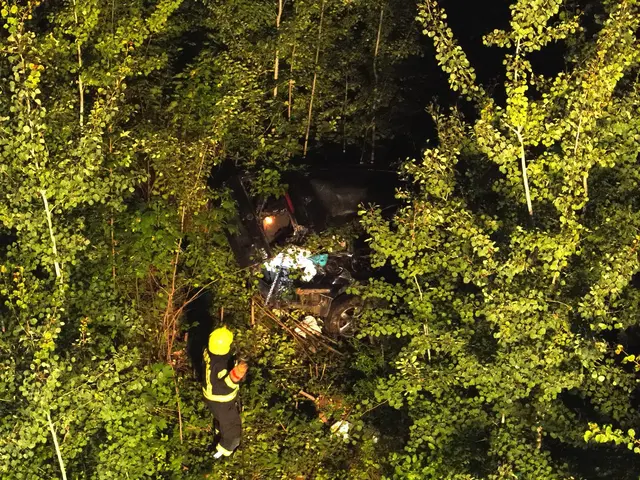 Die Feuerwehr suchte das Waldstück nach einer möglichen zweiten Person ab. | Foto: www.einsatzdoku.at