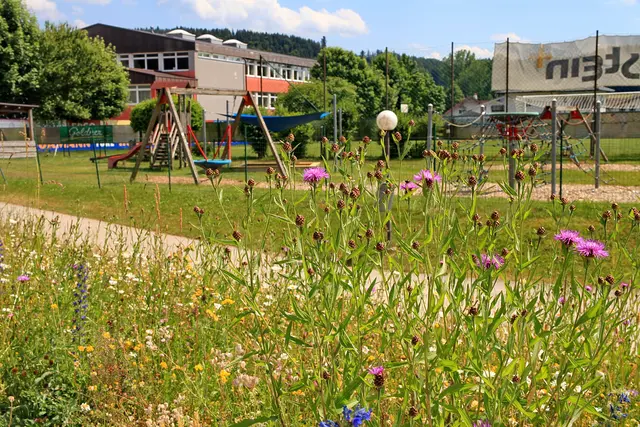 Foto: Garten-Franz