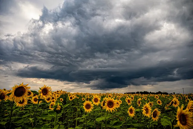 Das erste Augustwochenende zeigt sich von seiner launischen Seite. Während sich zu Beginn noch vereinzelt sonnige Abschnitte zeigen, dominieren bald dichte Wolken, Schauer und Gewitter. | Foto: Markus Pufler