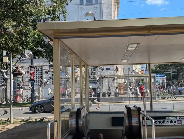 Foto: Fabian Franz/MeinBezirk