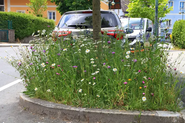 Foto: Garten-Franz
