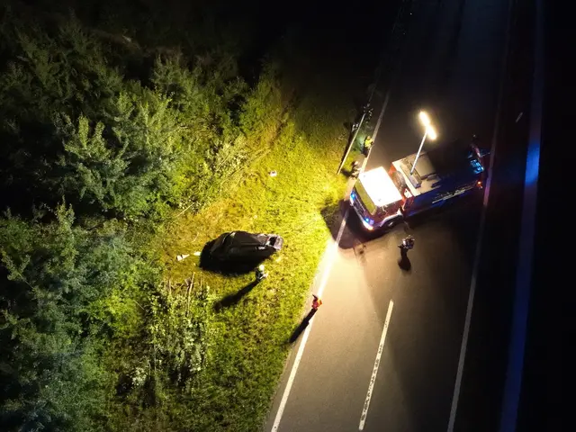 Suchaktion mit der Drohne der Feuerwehr Edlitz. | Foto: www.einsatzdoku.at