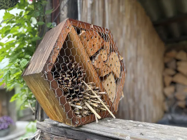 Nützlingshotels aus dem Handel sind oft wenig geeignet. Selbstbauten sind deutlich nützingsfreundlicher.  | Foto: MeinBezirk