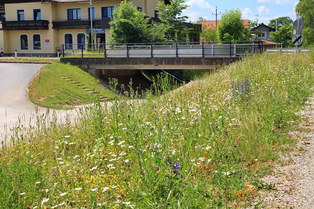 Foto: Garten-Franz