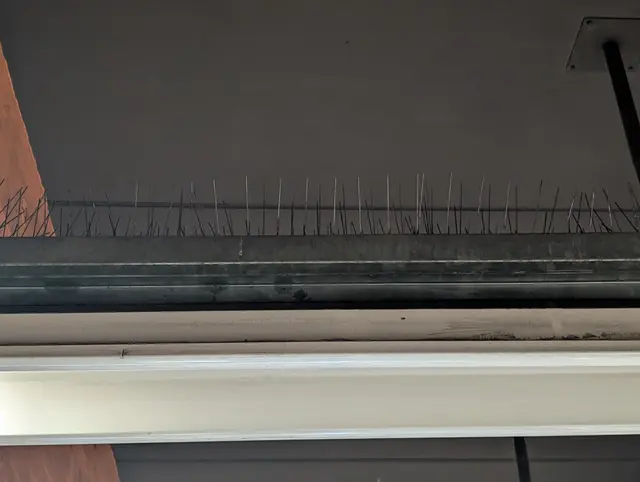 Foto: Fabian Franz/MeinBezirk