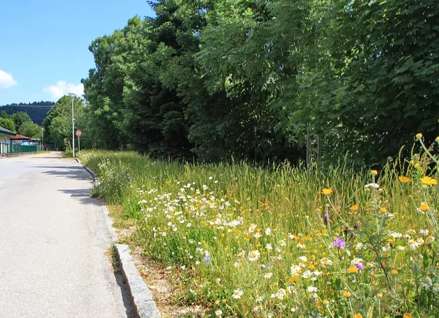 Foto: Garten-Franz