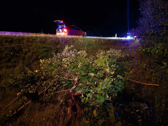 Foto: www.einsatzdoku.at