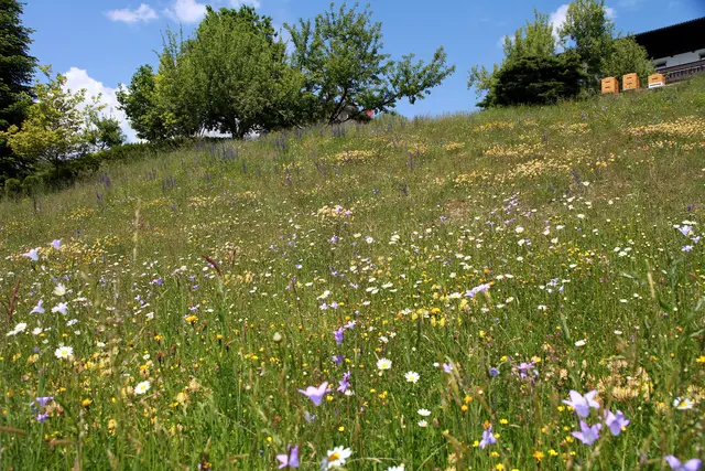 Foto: Garten-Franz