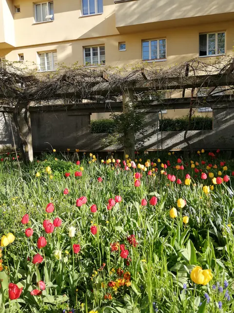 So sah das Blumenbeet vor der Rodung aus. | Foto: zVg