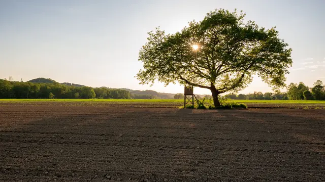 Das erste Augustwochenende zeigt sich von seiner launischen Seite. Während sich zu Beginn noch vereinzelt sonnige Abschnitte zeigen, dominieren bald dichte Wolken, Schauer und Gewitter. Erst ab Sonntag bessert sich das Wetter allmählich. | Foto: Thomas Csaszar