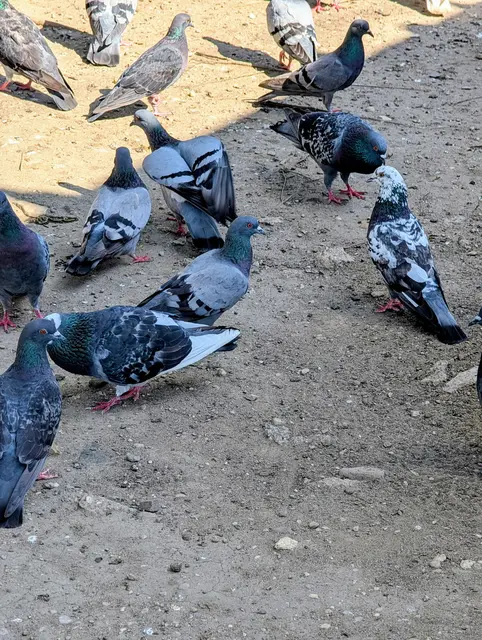 Foto: Fabian Franz/MeinBezirk