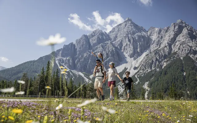 Gut ausgebaute Wanderwege und die gute Aussicht machen den Serlesberg zu einem beliebten Ziel für Familien.
| Foto: Mirja Geh
