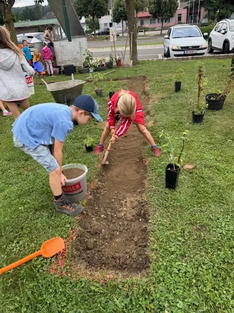Hier wachsen nicht nur die frisch gepflanzten Sträucher, sondern auch die Umweltbildung. | Foto: Sabine Macher