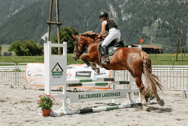 Am Gmoagut in Saalfelden finden die Noriker-Bundesmeisterschaften 2025 statt. | Foto: Gmoagut