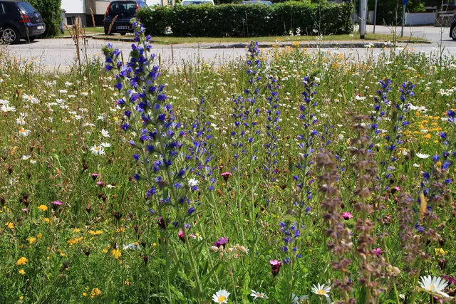 Foto: Garten-Franz