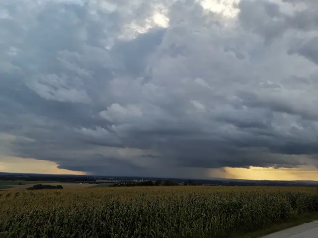 Der Freitag beginnt in der Osthälfte Österreichs noch mit längeren sonnigen Phasen. In Vorarlberg ziehen jedoch bereits am Morgen erste Regenschauer auf. | Foto: Johann Mayer