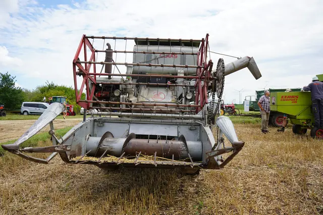 Foto: Andrea Glatzer