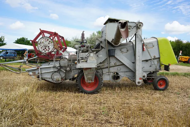 Foto: Andrea Glatzer