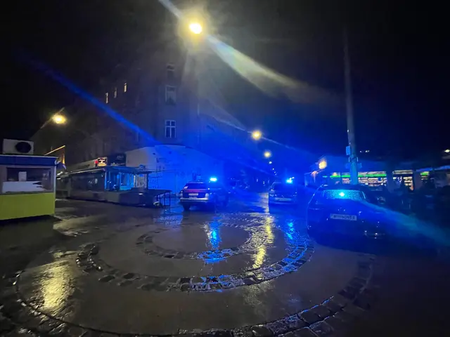 Foto: Ronja Reidinger/MeinBezirk