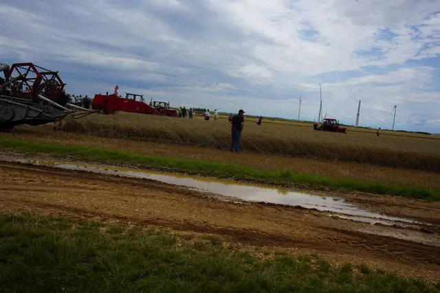 Foto: Andrea Glatzer