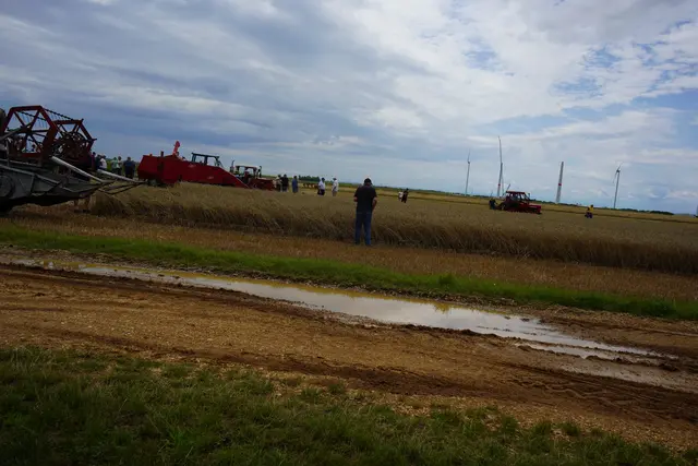 Das Regenwetter vom Vortag trübte den Feldtag ein wenig | Foto: Andrea Glatzer