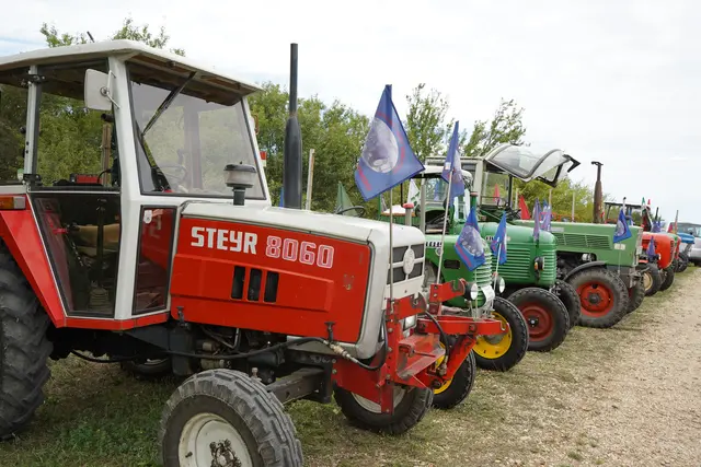 Foto: Andrea Glatzer