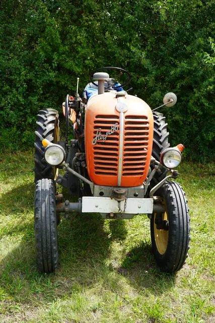 Foto: Andrea Glatzer