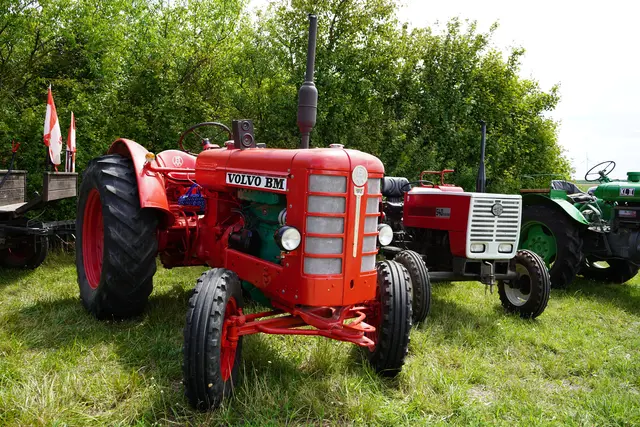 Foto: Andrea Glatzer